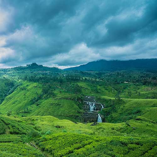 Sri Lanka, Holiday Packages, Travel Ideas, Things to do, Places to see, Safaris, Hotels, Visit Sri Lanka, Culture Trip, Religious Tour, Architecture Tour, Tour Package