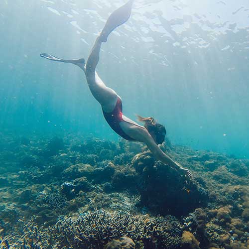 Sri Lanka, Holiday Packages, Travel Ideas, Things to do, Places to see, Safaris, Hotels, Visit Sri Lanka, Culture Trip, Religious Tour, Architecture Tour, Tour Package