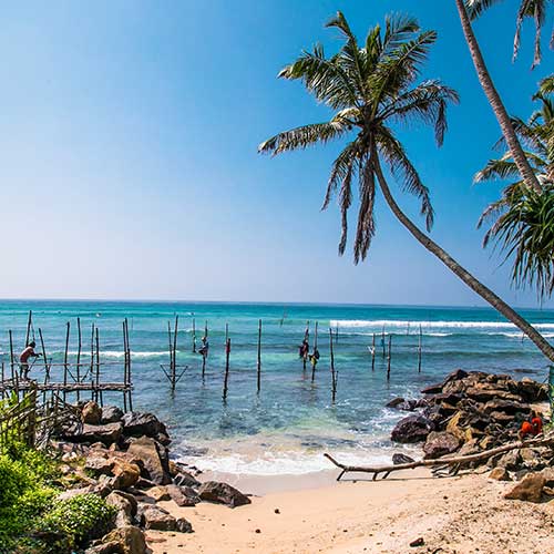 Sri Lanka, Holiday Packages, Travel Ideas, Things to do, Places to see, Safaris, Hotels, Visit Sri Lanka, Culture Trip, Religious Tour, Architecture Tour, Tour Package