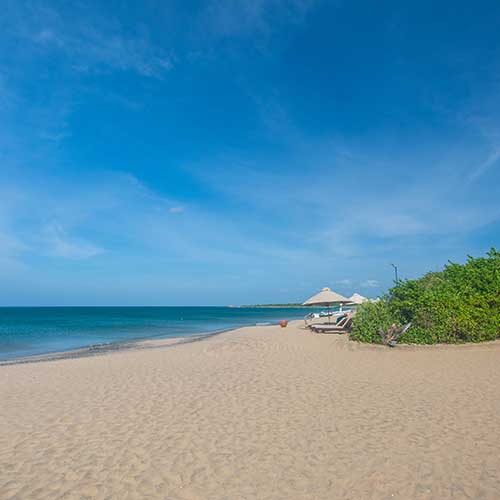 Sri Lanka, Holiday Packages, Travel Ideas, Things to do, Places to see, Safaris, Hotels, Visit Sri Lanka, Culture Trip, Religious Tour, Architecture Tour, Tour Package