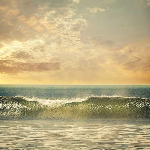 Sri Lanka, Holiday Packages, Travel Ideas, Things to do, Places to see, Safaris, Hotels, Visit Sri Lanka, Culture Trip, Religious Tour, Architecture Tour, Tour Package