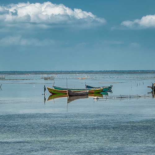 Sri Lanka, Holiday Packages, Travel Ideas, Things to do, Places to see, Safaris, Hotels, Visit Sri Lanka, Culture Trip, Religious Tour, Architecture Tour, Tour Package