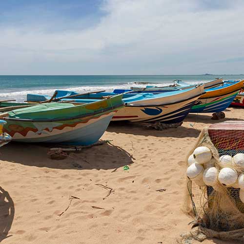 Sri Lanka, Holiday Packages, Travel Ideas, Things to do, Places to see, Safaris, Hotels, Visit Sri Lanka, Culture Trip, Religious Tour, Architecture Tour, Tour Package