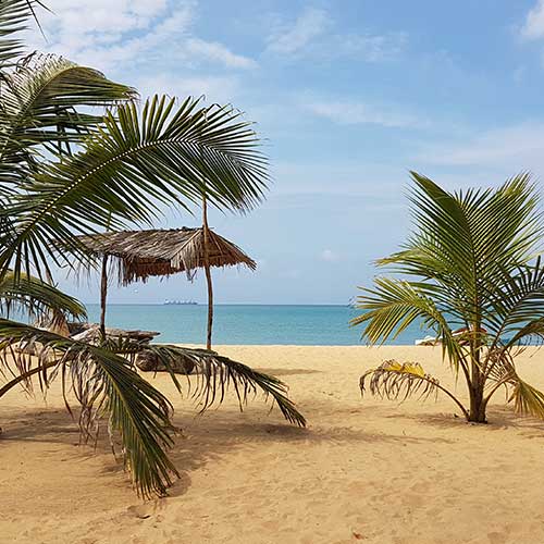 Sri Lanka, Holiday Packages, Travel Ideas, Things to do, Places to see, Safaris, Hotels, Visit Sri Lanka, Culture Trip, Religious Tour, Architecture Tour, Tour Package