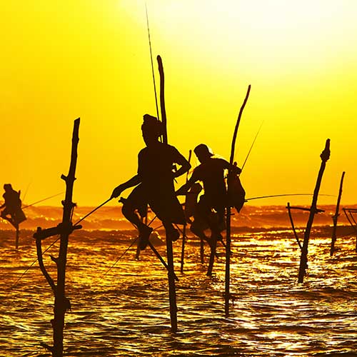 Sri Lanka, Holiday Packages, Travel Ideas, Things to do, Places to see, Safaris, Hotels, Visit Sri Lanka, Culture Trip, Religious Tour, Architecture Tour, Tour Package