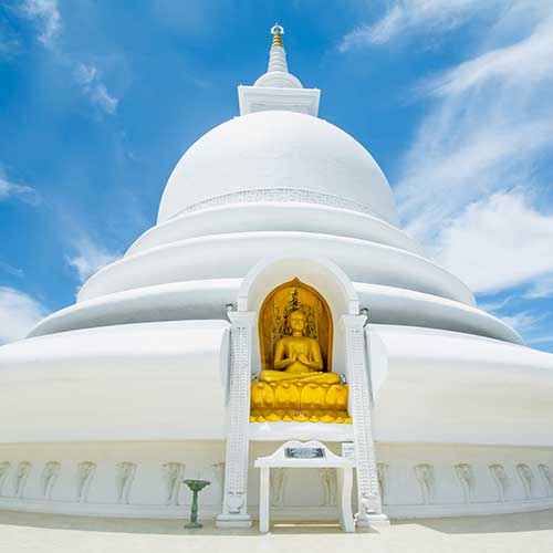 Sri Lanka, Holiday Packages, Travel Ideas, Things to do, Places to see, Safaris, Hotels, Visit Sri Lanka, Culture Trip, Religious Tour, Architecture Tour, Tour Package