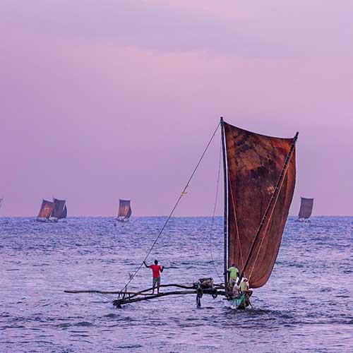 Sri Lanka, Holiday Packages, Travel Ideas, Things to do, Places to see, Safaris, Hotels, Visit Sri Lanka, Culture Trip, Religious Tour, Architecture Tour, Tour Package