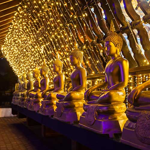 Sri Lanka, Holiday Packages, Travel Ideas, Things to do, Places to see, Safaris, Hotels, Visit Sri Lanka, Culture Trip, Religious Tour, Architecture Tour, Tour Package