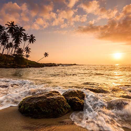 Sri Lanka, Holiday Packages, Travel Ideas, Things to do, Places to see, Safaris, Hotels, Visit Sri Lanka, Culture Trip, Religious Tour, Architecture Tour, Tour Package