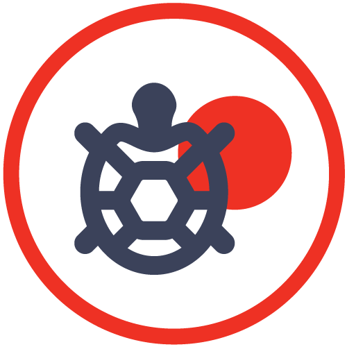 Turtle Conservation in Sri Lanka