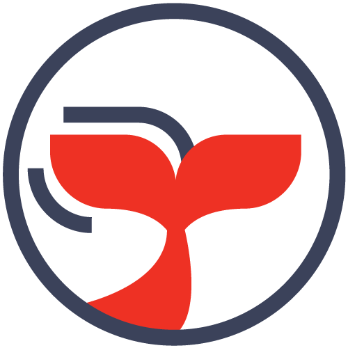 Whale Watching in Sri Lanka